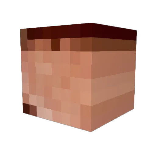 scranton96 Minecraft avatar head, 3D render