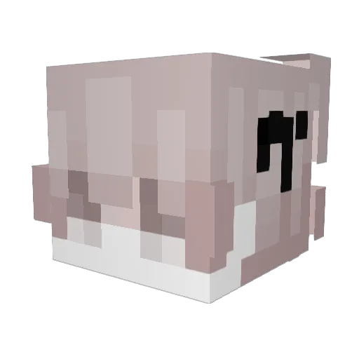 scrapSk1 Minecraft avatar head, 3D render