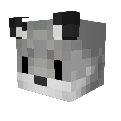 scrappycoco447 Minecraft avatar head, 3D render