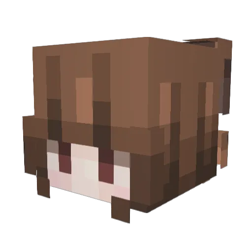 scrappypaws_ Minecraft avatar head, 3D render