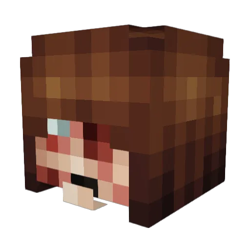 scratbit Minecraft avatar head, 3D render