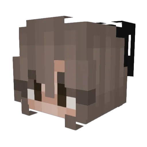 scratch_andsniff Minecraft avatar head, 3D render