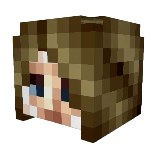 scratchyanditchy Minecraft avatar head, 3D render