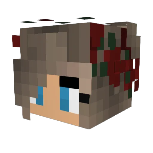 screaminggeel Minecraft avatar head, 3D render
