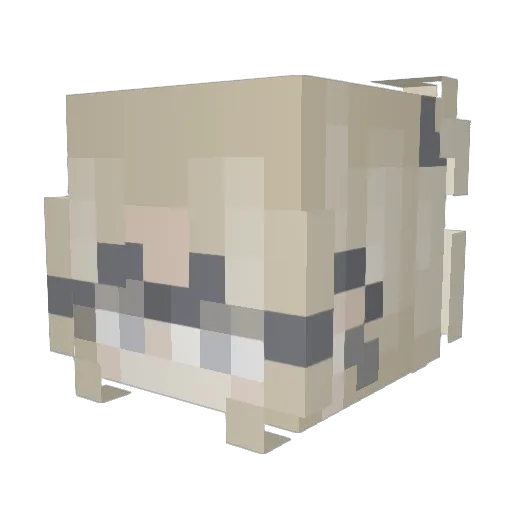 screamingtacos Minecraft avatar head, 3D render