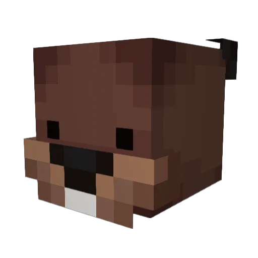 screw_ball Minecraft avatar head, 3D render