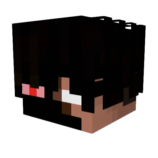 scrimneverlose Minecraft avatar head, 3D render