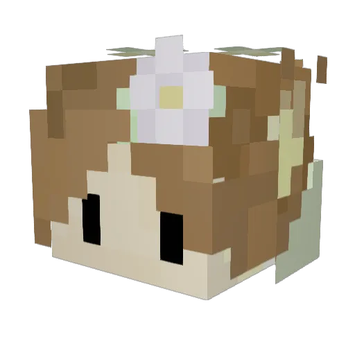 scriptlet Minecraft avatar head, 3D render