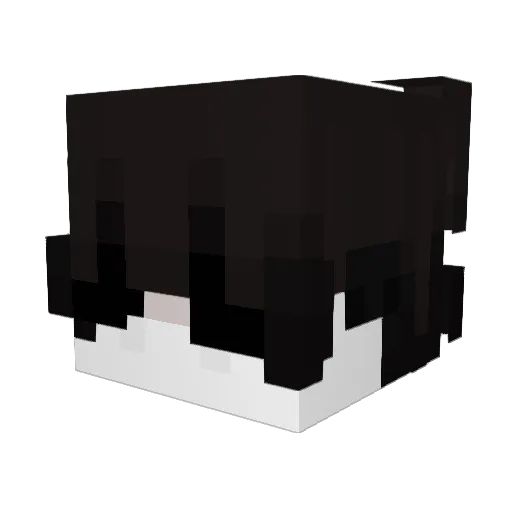 scripts01 Minecraft avatar head, 3D render
