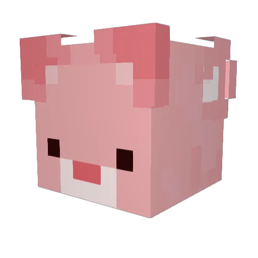 scrnt Minecraft avatar head, 3D render