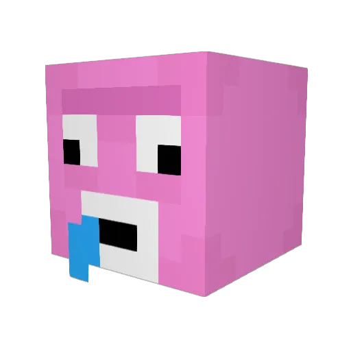 scroodj1 Minecraft avatar head, 3D render