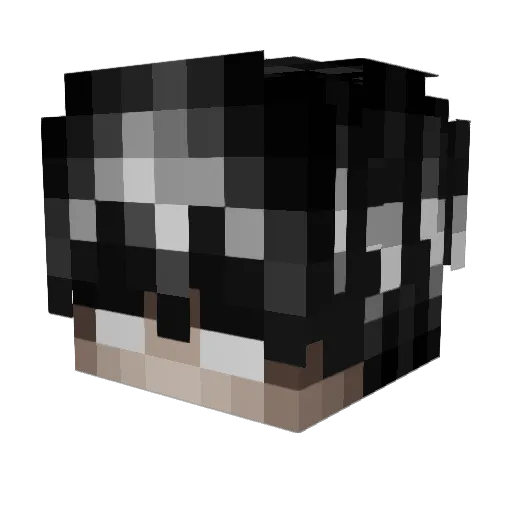 scroogje Minecraft avatar head, 3D render