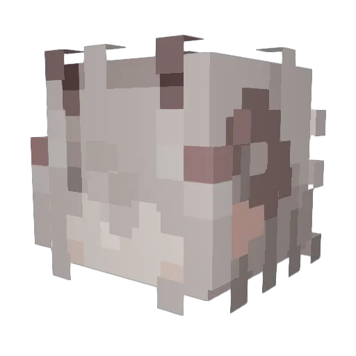 scroonkly Minecraft avatar head, 3D render
