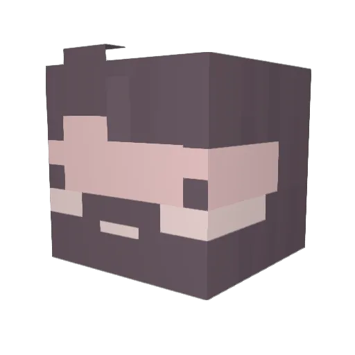 scrooob Minecraft avatar head, 3D render