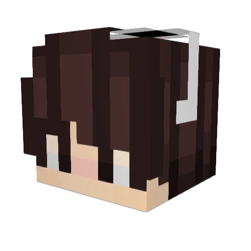 scrrrrrrrr Minecraft avatar head, 3D render