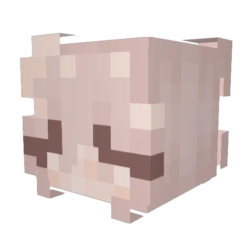 scrttraincndctr Minecraft avatar head, 3D render