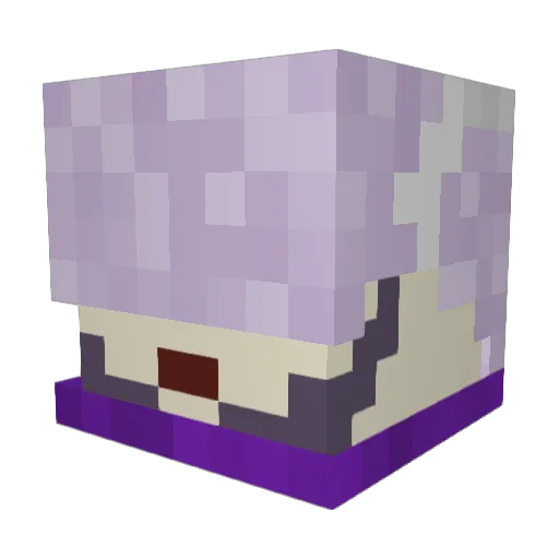 scrubbylubby Minecraft avatar head, 3D render