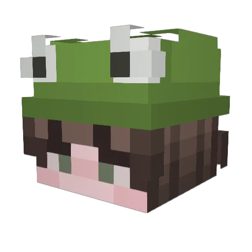scruffy1818 Minecraft avatar head, 3D render