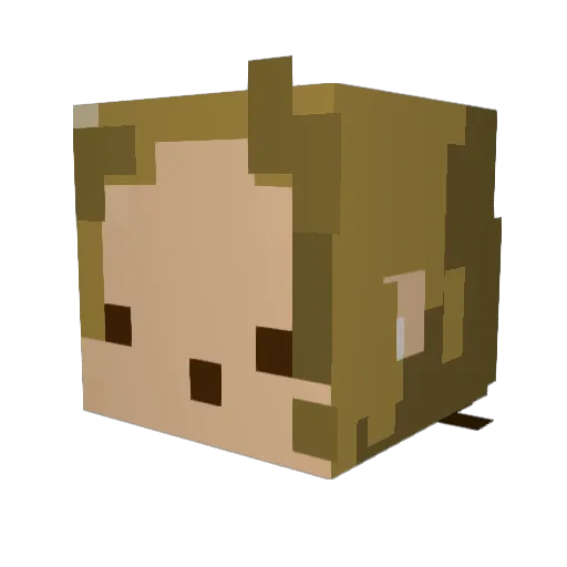 scruffy1917 Minecraft avatar head, 3D render