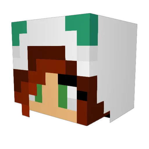 scruffymelon Minecraft avatar head, 3D render