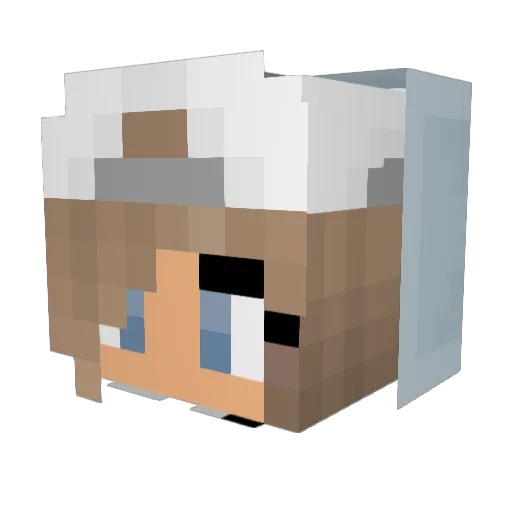 scrump22 Minecraft avatar head, 3D render