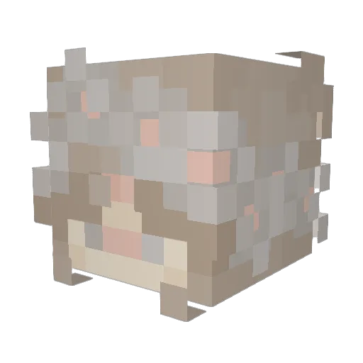 scruncho_ Minecraft avatar head, 3D render