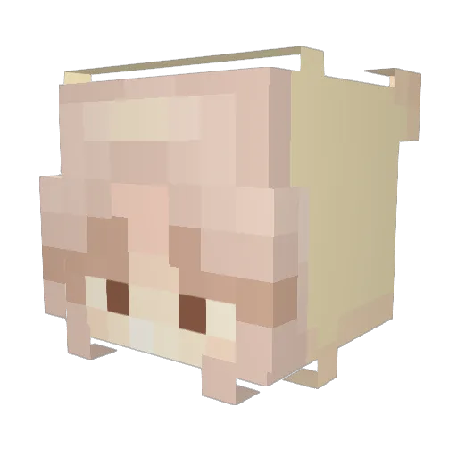 scrxppy3 Minecraft avatar head, 3D render