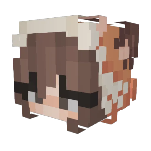 scrybe99 Minecraft avatar head, 3D render