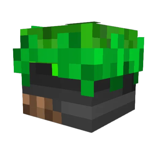 sctceh Minecraft avatar head, 3D render