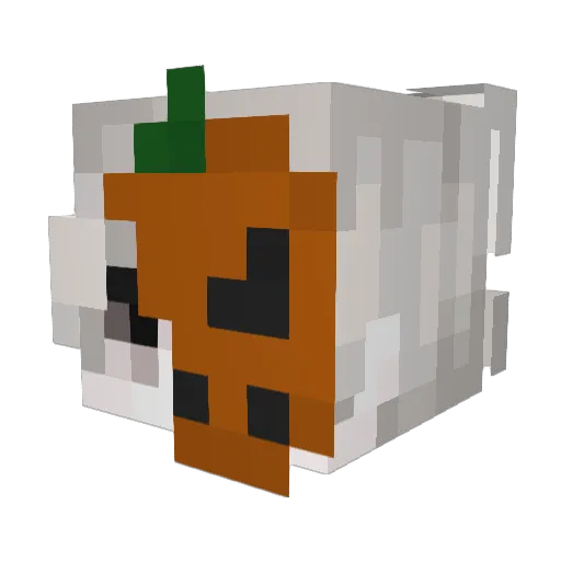 scuba_winter Minecraft avatar head, 3D render