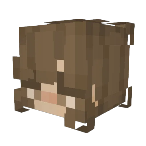 scvrpiox Minecraft avatar head, 3D render