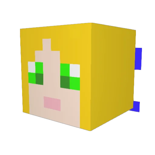 sdbeachgirl Minecraft avatar head, 3D render