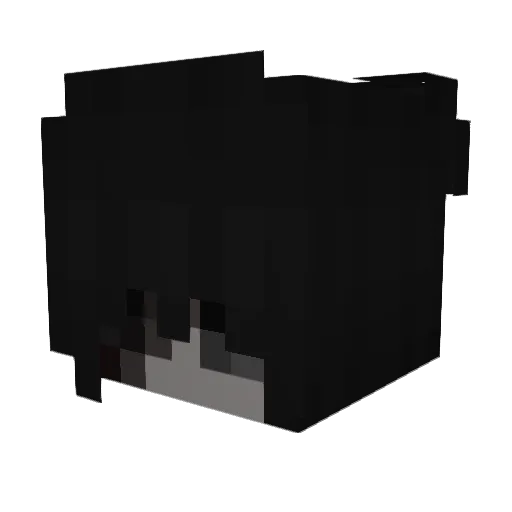 sdfdfgwea Minecraft avatar head, 3D render