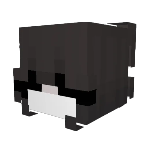 sdfghjklkljkl Minecraft avatar head, 3D render