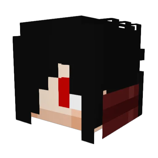 sdflogain Minecraft avatar head, 3D render