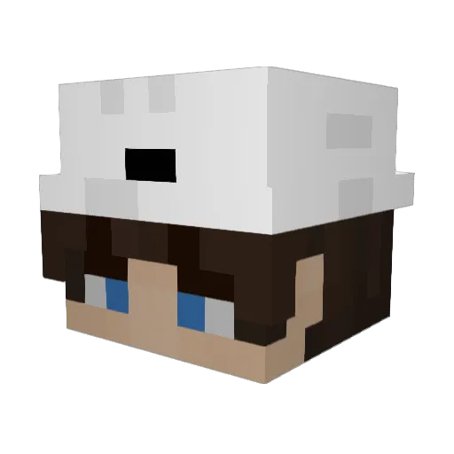 sdgp Minecraft avatar head, 3D render
