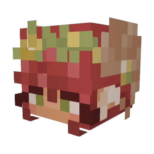 sdirty6 Minecraft avatar head, 3D render