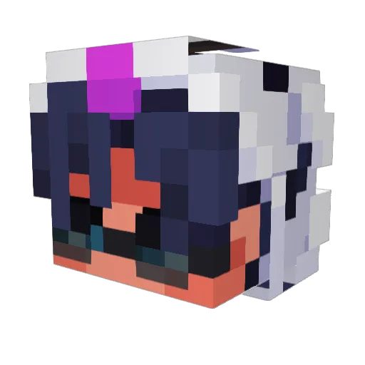 sdiuqs Minecraft avatar head, 3D render