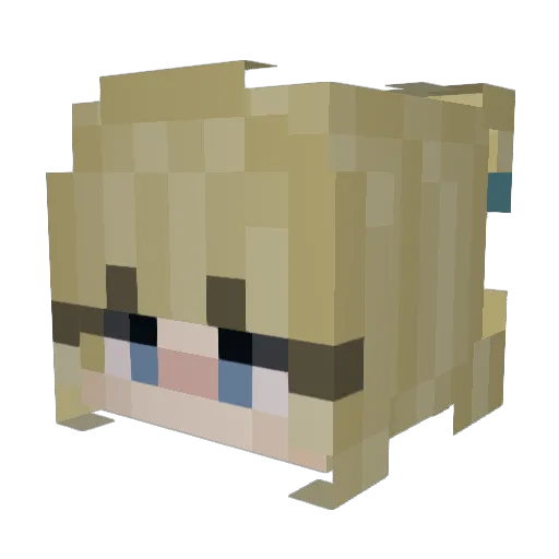sdjahu_ Minecraft avatar head, 3D render