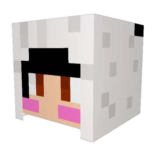sdkjweiu Minecraft avatar head, 3D render