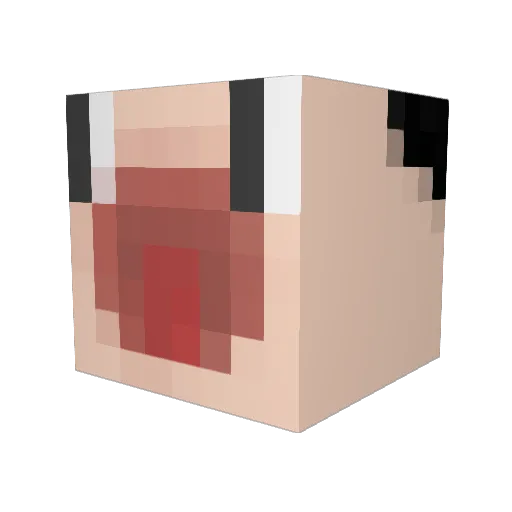 sdoifhj Minecraft avatar head, 3D render