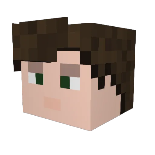 sdschill Minecraft avatar head, 3D render