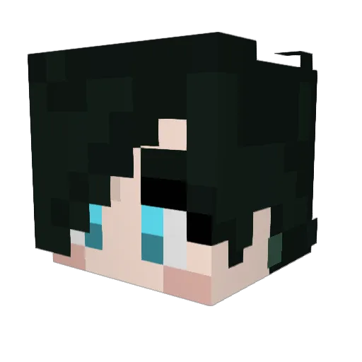 sdsdisd Minecraft avatar head, 3D render