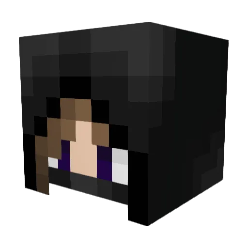 sdsdsdsdsds Minecraft avatar head, 3D render