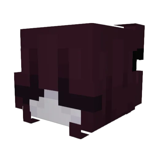 sdsf Minecraft avatar head, 3D render