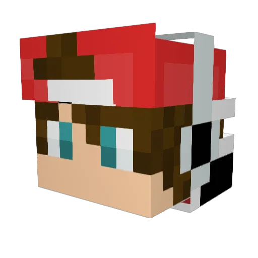 sdude8 Minecraft avatar head, 3D render