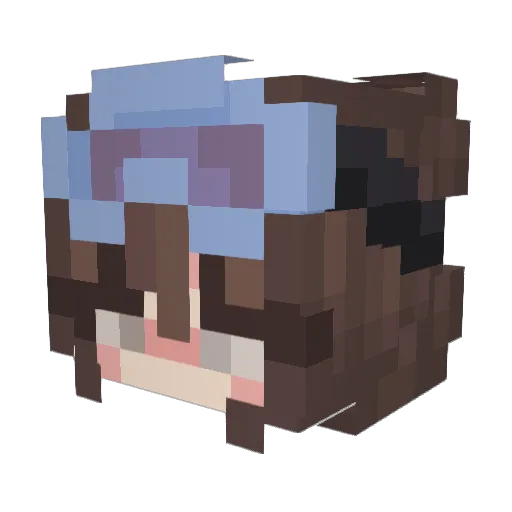 se0nm1 Minecraft avatar head, 3D render