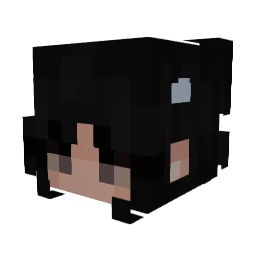 se1fcar3 Minecraft avatar head, 3D render
