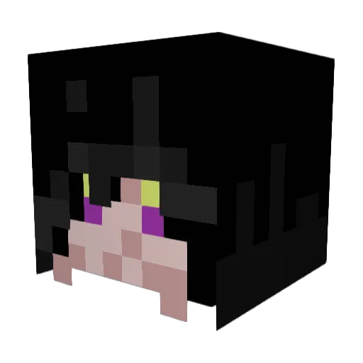 se2ta Minecraft avatar head, 3D render