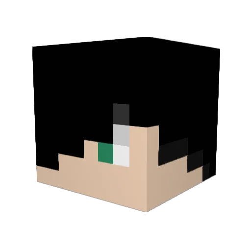 se3U Minecraft avatar head, 3D render